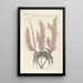 Piscium serpentum insectorum aliorumque nonnullorum animalum nec non plantarum quarundam imagines Pl035 - Mark Catesby — kehystetty taideteos seinällä