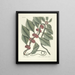 Poissons, serpents, insectes et quelques autres animaux, ainsi que quelques photos de plantes Pl047 - Mark Catesby — kehystetty taideteos seinällä