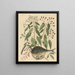Le poisson globe Tetrodon lagocephalus - Mark Catesby — kehystetty taideteos seinällä
