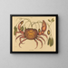 Le crabe terrestre Cancer ruricola - Mark Catesby — kehystetty taideteos seinällä