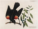 Le merle à ailes rouges, le myrte à feuilles larges et la bougie de baies - Mark Catesby — näkymä teoksesta