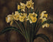 Jonquilles - Mark Gertler — näkymä teoksesta