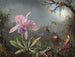 Orchidée Cattleya ja kolme kolibrista - Martin Johnson Heade — näkymä teoksesta