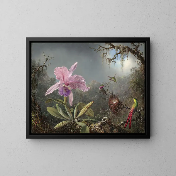 Orchidée Cattleya ja kolme kolibrista - Martin Johnson Heade — kehystetty taideteos seinällä