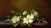Ruusut Cherokee violetilla kankaalla - Martin Johnson Heade — näkymä teoksesta