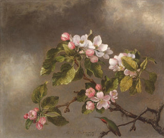Colibri et fleurs de pommier - Martin Johnson Heade — näkymä teoksesta