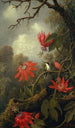 Kolibrit ja passionkukat - Martin Johnson Heade — näkymä teoksesta