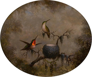 Colibris et leur nid - Martin Johnson Heade — näkymä teoksesta
