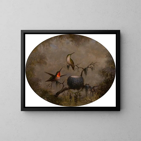Colibris et leur nid - Martin Johnson Heade — kehystetty taideteos seinällä