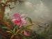 Orkideat ja kolibririt - Martin Johnson Heade — näkymä teoksesta