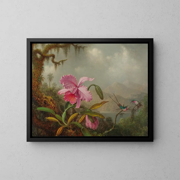 Orkideat ja kolibririt - Martin Johnson Heade — kehystetty taideteos seinällä