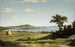 Rhode Islandin Rivage - Martin Johnson Heade — näkymä teoksesta
