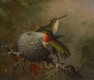 Kaksi sinisorsaa pesänsä lähellä - Martin Johnson Heade — näkymä teoksesta
