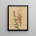 Fleur cardinale Lobelia cardinalis - Mary Vaux Walcott — kehystetty taideteos seinällä