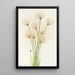 Linaigrette Eriophorum chamissonis - Mary Vaux Walcott — kehystetty taideteos seinällä