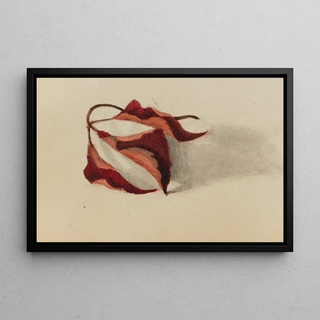 Mary Vaux Walcott - Curled Autumn Leaves.webp