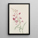 Epilobium angustifolium - Mary Vaux Walcott — kehystetty taideteos seinällä