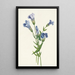 Hapsullinen Gentiana crinita - Mary Vaux Walcott — kehystetty taideteos seinällä