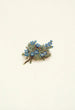Myosotis des mousses Eritrichum elongatum - Mary Vaux Walcott — näkymä teoksesta