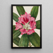 Vuorirhododendron vuorilta Rhododendron catawbiense - Mary Vaux Walcott — kehystetty taideteos seinällä