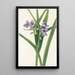 Virginian Tradescantia virginiana - Mary Vaux Walcott — kehystetty taideteos seinällä