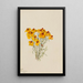 Zinnia Zinnia grandiflora - Mary Vaux Walcott — kehystetty taideteos seinällä
