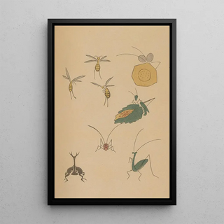 Masayoshi Kitao - Choju ryakugashiki Pl35.webp