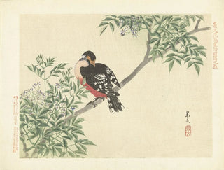 Sorbier et pic à dos blanc - Matsumura Keibun — näkymä teoksesta