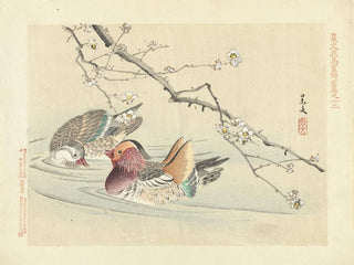 Prunier et canard mandarin - Matsumura Keibun — näkymä teoksesta
