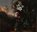 Nature morte - Matthias Withoos — näkymä teoksesta