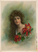 Poinsettia - Meek & Co.. — näkymä teoksesta