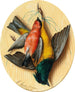 Nature morte aux oiseaux chanteurs - Michelangelo Meucci — näkymä teoksesta