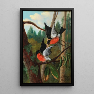 Michelangelo Meucci - Zwei Vgel im Streit.webp