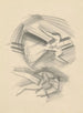 Croquis avec différentes croix religieuses III - Mikuláš Galanda — näkymä teoksesta