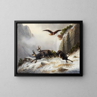 Moritz Mller - Chamois persecuted by an Eagle.webp