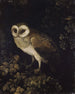 Un hibou - Moses Haughton — näkymä teoksesta