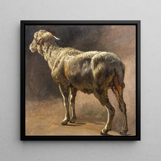 Mouton - Christian Mali