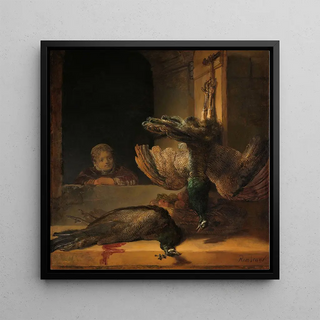 Nature morte avec des paons - Rembrandt van Rijn