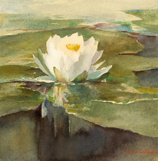Nénuphar au soleil - John La Farge
