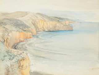 Côte près de Dunedin - Nicholas Chevalier — näkymä teoksesta