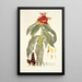 Alpinia comosa - Nikolaus Joseph Freiherr von Jacquin — kehystetty taideteos seinällä