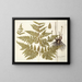 Polypodium multifidum - Nikolaus Joseph Freiherr von Jacquin — kehystetty taideteos seinällä