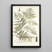 Pteris caudata - Nikolaus Joseph Freiherr von Jacquin — kehystetty taideteos seinällä