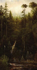 Kalifornian maisema - Norton Bush — näkymä teoksesta