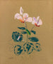 Cyclamen - Odilon Redon — näkymä teoksesta