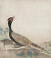 Faisan - Ogata Kōrin — näkymä teoksesta
