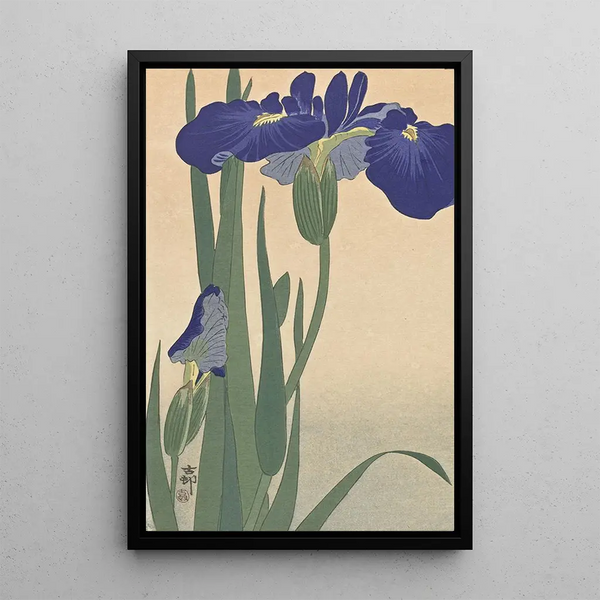 Siniset iirikset | Ohara Koson — kehystetty taideteos seinällä