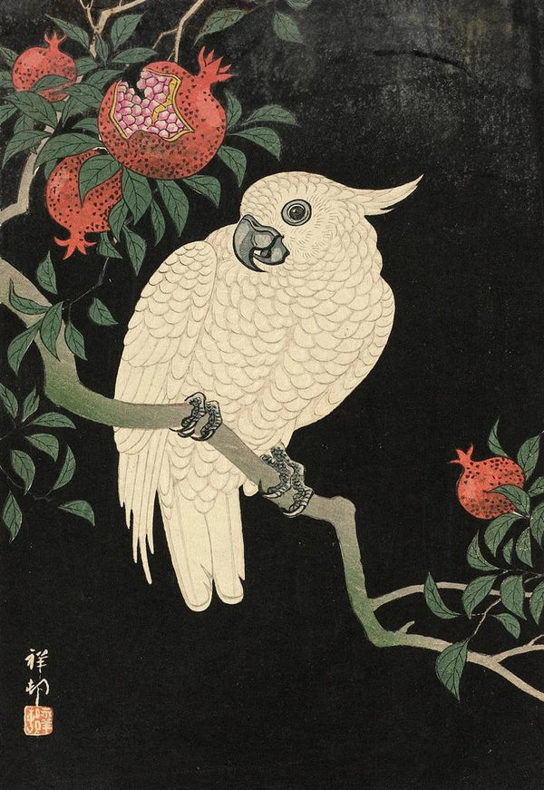 Kakadua ja granaattiomena | Ohara Koson — kehystetty taideteos seinällä