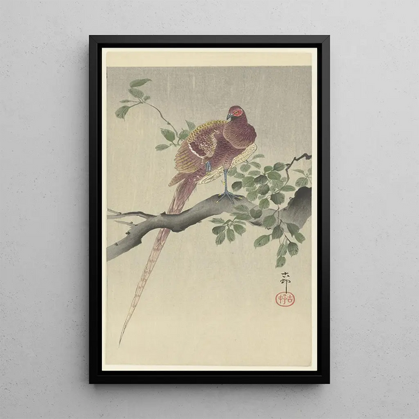 Kuparifasaani | Ohara Koson — kehystetty taideteos seinällä