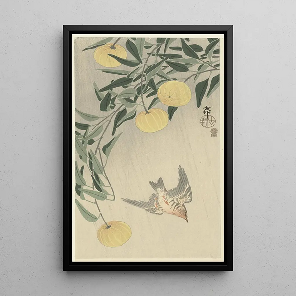 Käki sateen alla | Ohara Koson — kehystetty taideteos seinällä